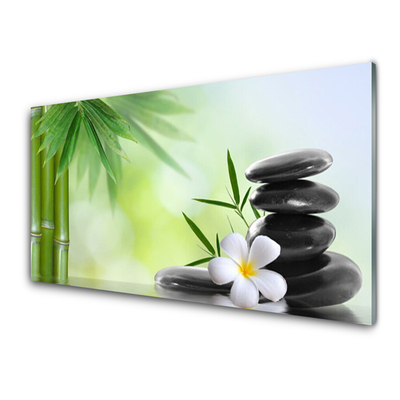 Glass Print Bamboo stalk flower stones art green white black