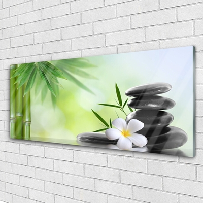 Glass Print Bamboo stalk flower stones art green white black