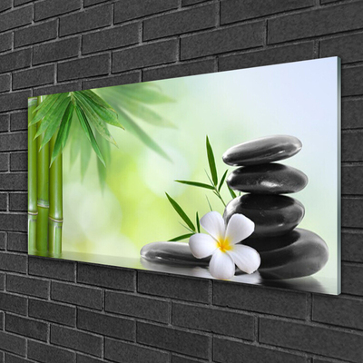 Glass Print Bamboo stalk flower stones art green white black