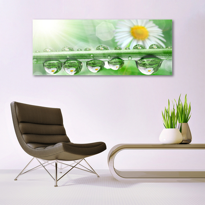 Glass Print Dew leaf daisies nature green white yellow