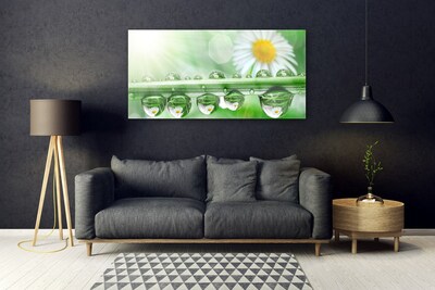 Glass Print Dew leaf daisies nature green white yellow