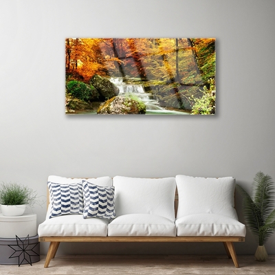Glass Print Waterfall forest nature white green yellow grey