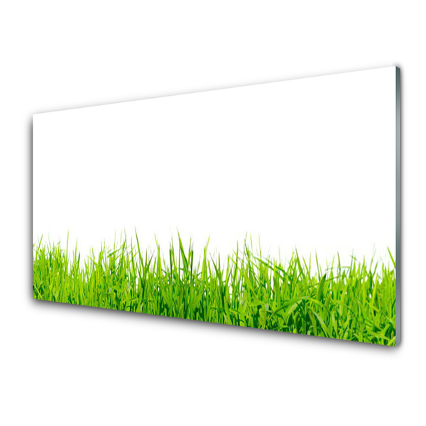 Glass Print Grass nature green