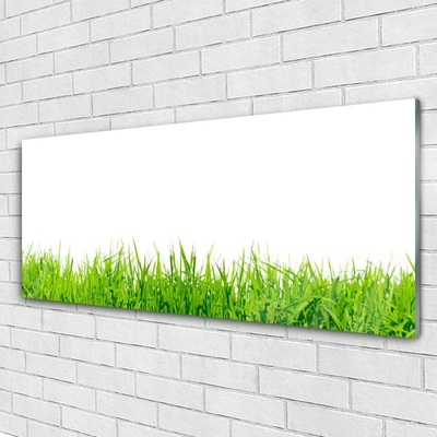 Glass Print Grass nature green