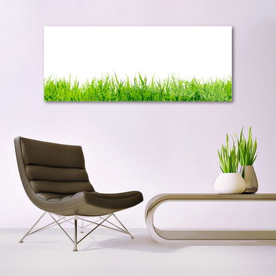 Glass Print Grass nature green