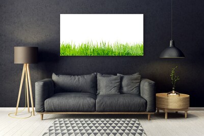 Glass Print Grass nature green