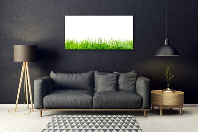 Glass Print Grass nature green