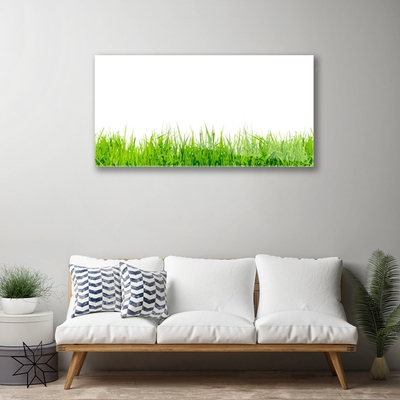 Glass Print Grass nature green