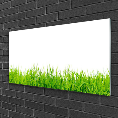 Glass Print Grass nature green