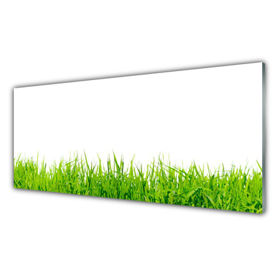 Glass Print Grass nature green