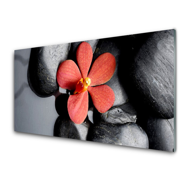 Glass Print Flower stones art red grey