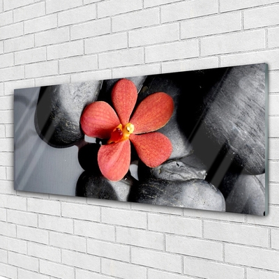 Glass Print Flower stones art red grey