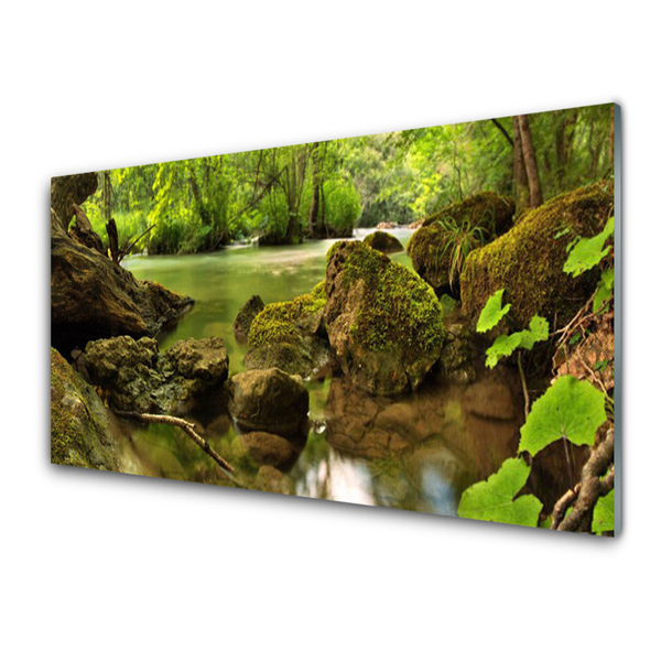 Glass Print Rock lake nature green