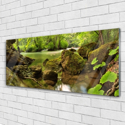 Glass Print Rock lake nature green