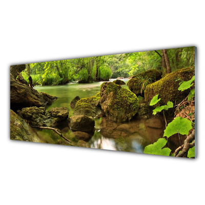 Glass Print Rock lake nature green