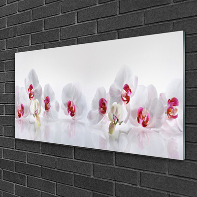 Glass Print Flowers floral white red