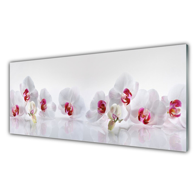 Glass Print Flowers floral white red