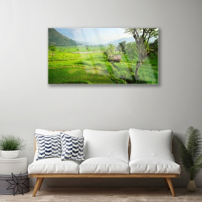 Glass Print Meadow nature green