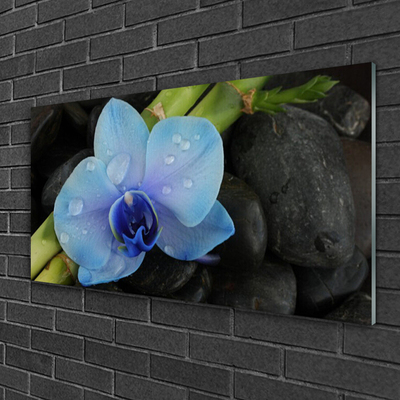 Glass Print Flower stones floral purple black