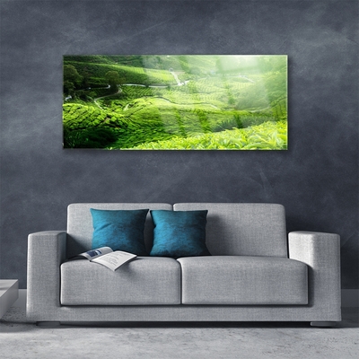 Glass Print Meadow nature green