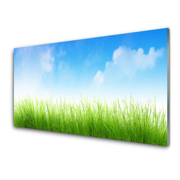 Glass Print Grass nature green