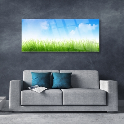 Glass Print Grass nature green