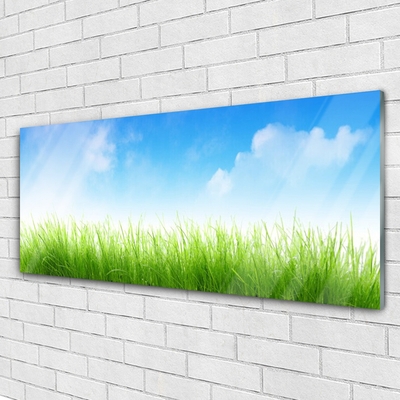 Glass Print Grass nature green