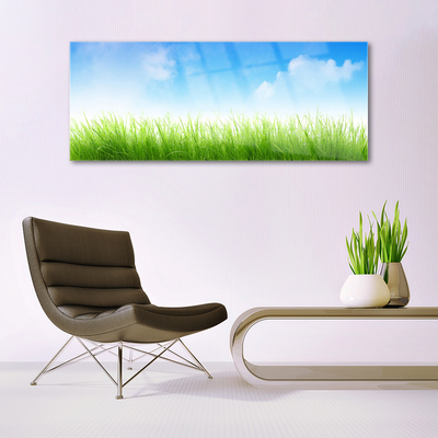 Glass Print Grass nature green