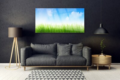 Glass Print Grass nature green