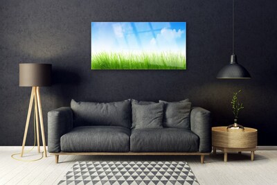 Glass Print Grass nature green