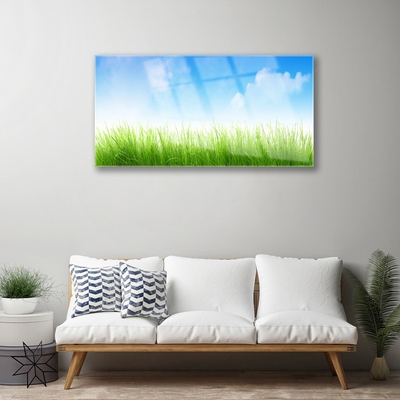 Glass Print Grass nature green