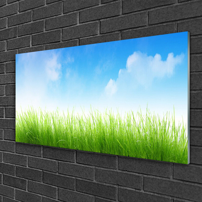 Glass Print Grass nature green