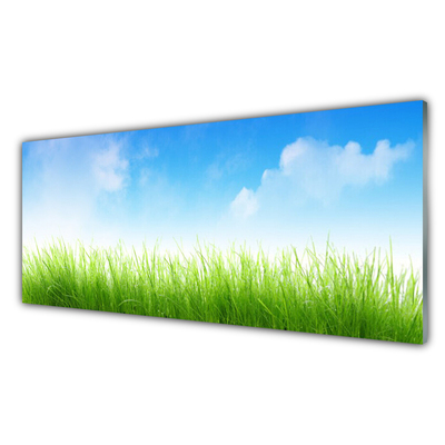 Glass Print Grass nature green