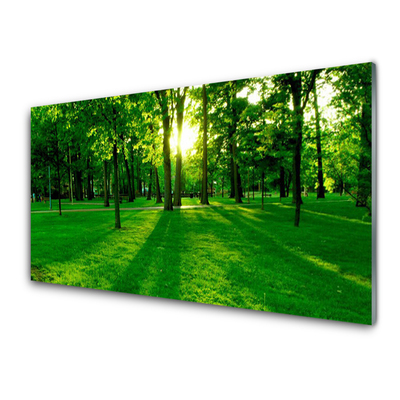 Glass Print Forest nature brown green