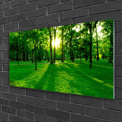 Glass Print Forest nature brown green