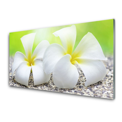 Glass Print Flowers floral white