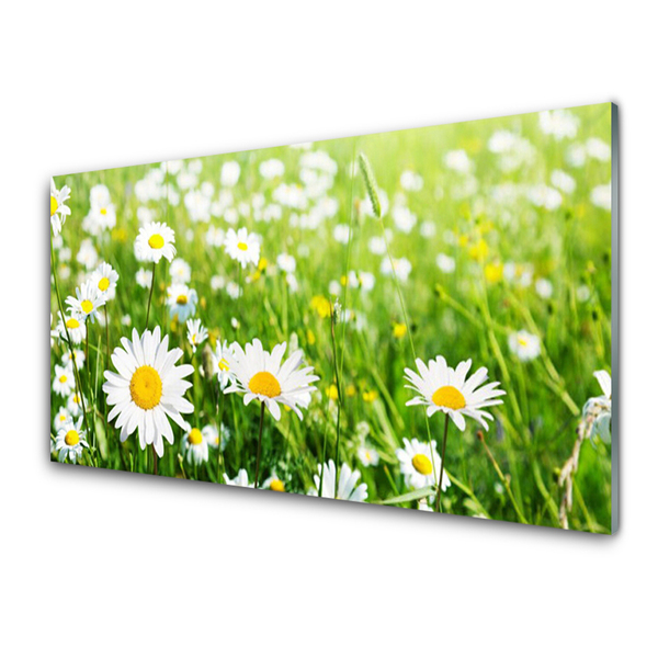 Glass Print Daisy floral white yellow green