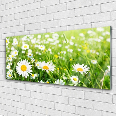 Glass Print Daisy floral white yellow green