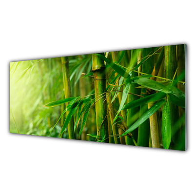 Glass Print Bamboo stalks floral green