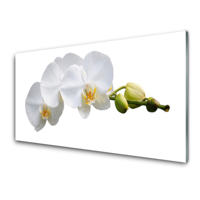 Glass Print Flowers floral white