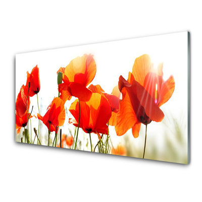 Glass Print Poppies floral red yellow