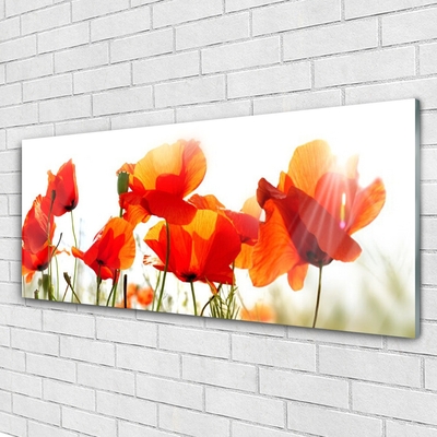 Glass Print Poppies floral red yellow