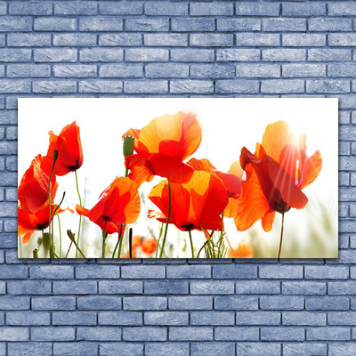 Glass Print Poppies floral red yellow