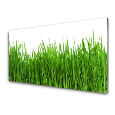 Glass Print Grass nature green