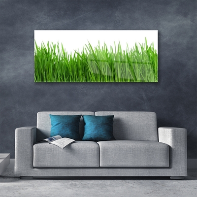 Glass Print Grass nature green