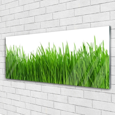 Glass Print Grass nature green