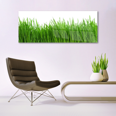 Glass Print Grass nature green