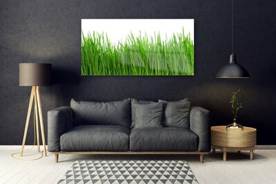 Glass Print Grass nature green