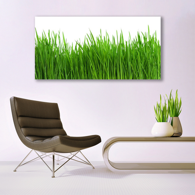 Glass Print Grass nature green