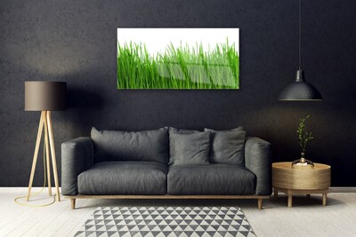 Glass Print Grass nature green